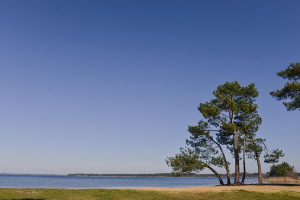 Landes - Locations de vacances et appartements